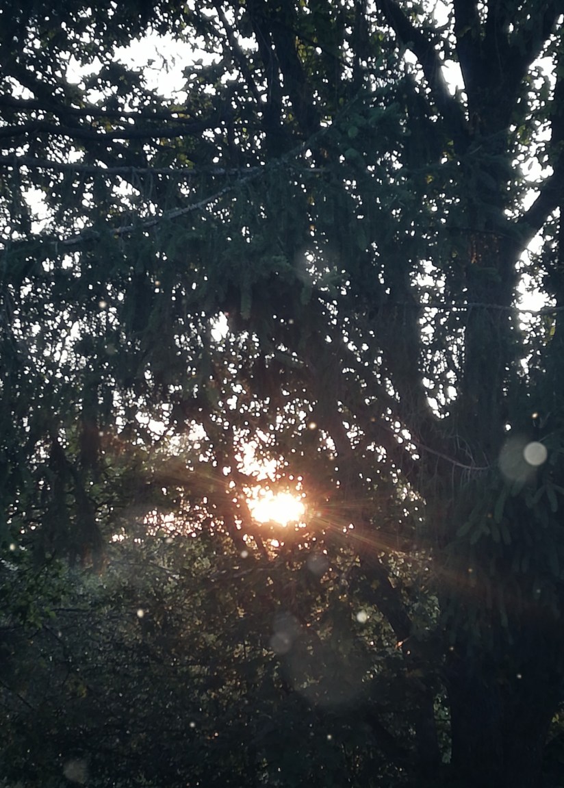 PicsArt_08-31-01.12.14